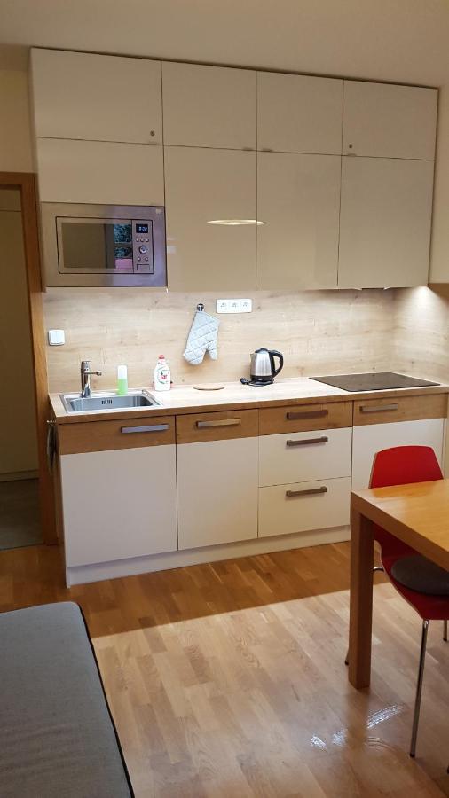 Rokytka Apartman 217 Rokytnice nad Jizerou Εξωτερικό φωτογραφία